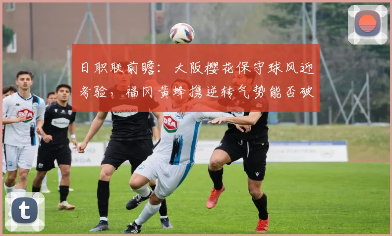 日职联前瞻：大阪樱花保守球风迎考验，福冈黄蜂携逆转气势能否破局？