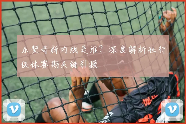 东契奇新内线是谁?深度解析独行侠休赛期关键引援