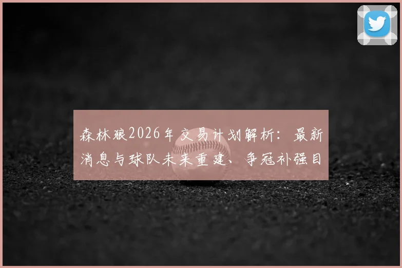 森林狼2026年交易计划解析：最新消息与球队未来重建、争冠补强目标深度探讨